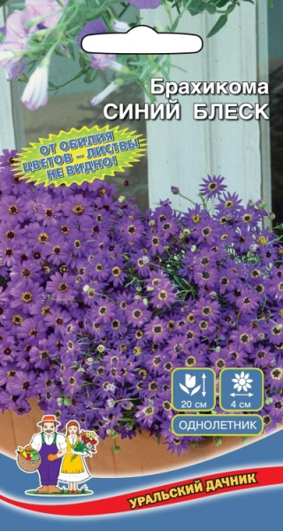 Семена Брахикома Синий Блеск Уральский дачник Е/П