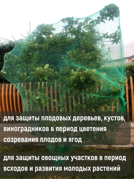 Сетка от птиц зеленая 4х5 м Сетка от птиц зеленая 4х5 м