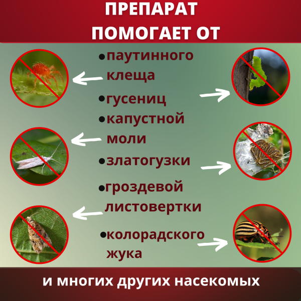 Битоксибациллин биопрепарат для защиты садовых растений от насекомых вредителей 20 г, 6 шт