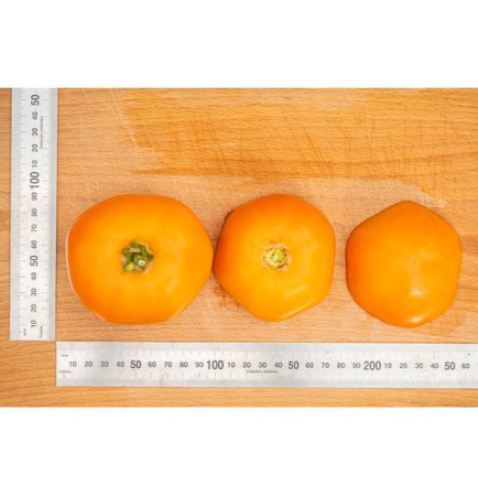 Семена Томат Сувенир F1 10 шт Партнер