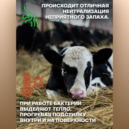 Бактерии для подстилки Biolatic Multi-25 1 кг