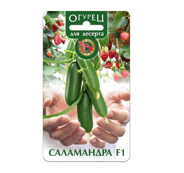 Семена Огурец Саламандра F1 АГ Биотехника Семена Огурец Саламандра F1 АГ Биотехника