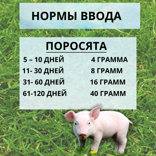 Кормовая добавка Биовит-80 10%, 5 шт по 450 г