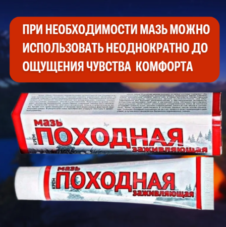 Мазь Походная заживляющая 40 г, 3 шт