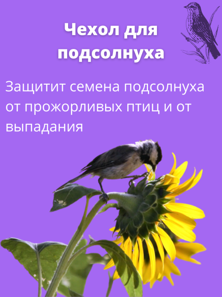 Шапочка с УФ для капусты 40 шт Шапочка с УФ для капусты 40 шт