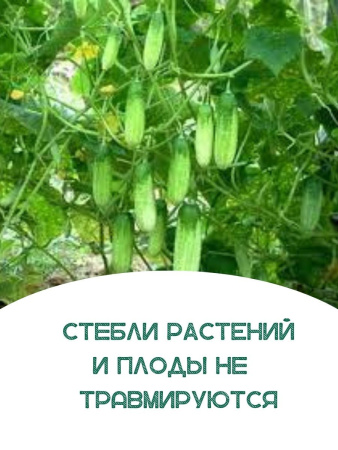 Сетка шпалерная 2x10 м размер ячейки 15х17 см зеленая LISTOK