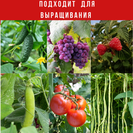Опора садовая универсальная Палочка-Выручалочка 1,5 м МС-Про