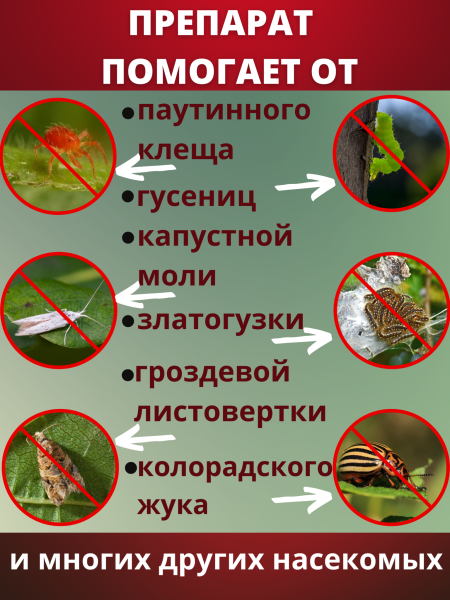 Битоксибациллин биопрепарат для защиты садовых растений от насекомых вредителей 20 г, 20 шт