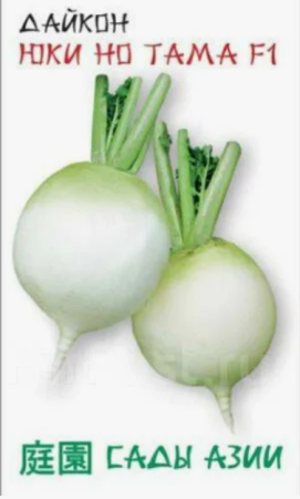Семена Дайкон Юки но Тама Улучшенный Биг Бол Сады Азии F1