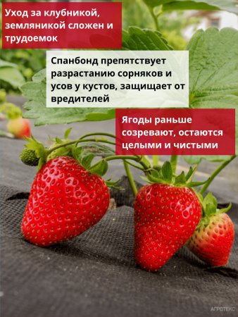 Укрывной материал Грядка в порядке универсальный с УФ стабилизатором чёрный 60 г/м2, 1,6 х 10 м Благодатное Земледелие