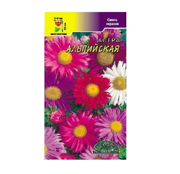 Семена Астра Альпийская смесь Цветущий сад