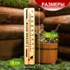 Термометр для бани и сауны ТБС-41