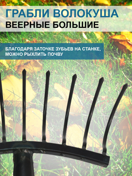 Грабли веерные Волокуша - Боронуша большие 30 см без черенка Благодатное земледелие Грабли веерные Волокуша - Боронуша большие 30 см без черенка Благодатное земледелие