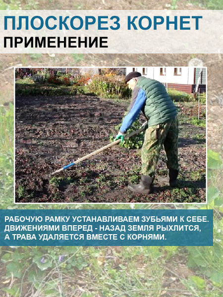 Плоскорез Корнет 12 см с коротким черенком и удлинителем черенка