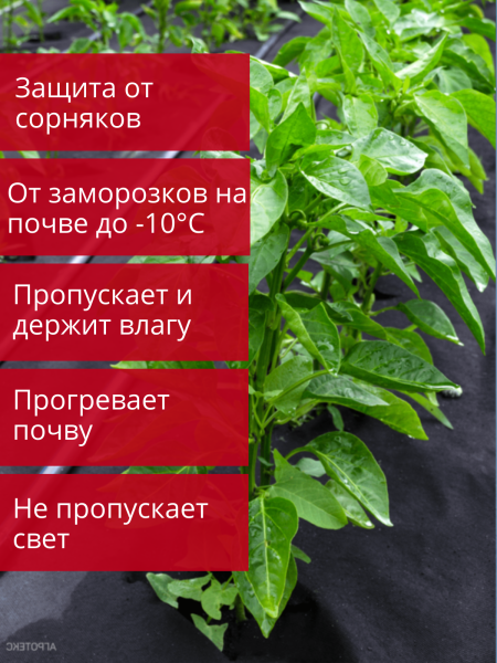 Укрывной материал Грядка в порядке универсальный с УФ стабилизатором чёрный 60 г/м2, 3,2 х 10 м Благодатное Земледелие