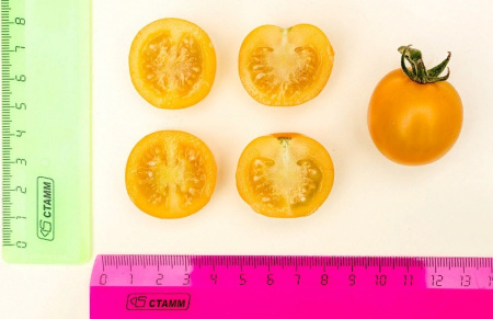 Семена Томат Черри Краски F1 5 шт Партнер