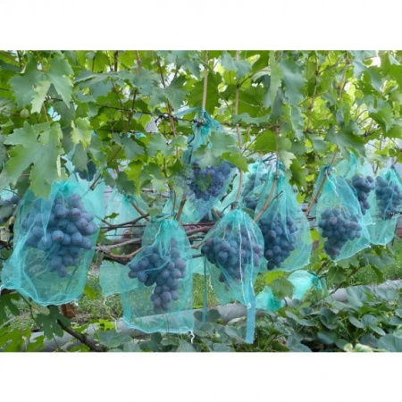 Сетка мешочек для защиты винограда 20*50 см 50 шт