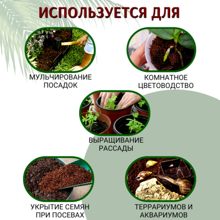 Кокосовый субстрат диски 5 шт Орехнин d 100 мм 7 л