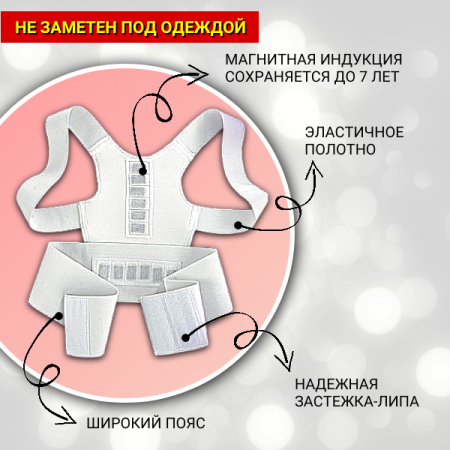 Магнитный корректор осанки, поддержка спины размер L 46-48 Biomag