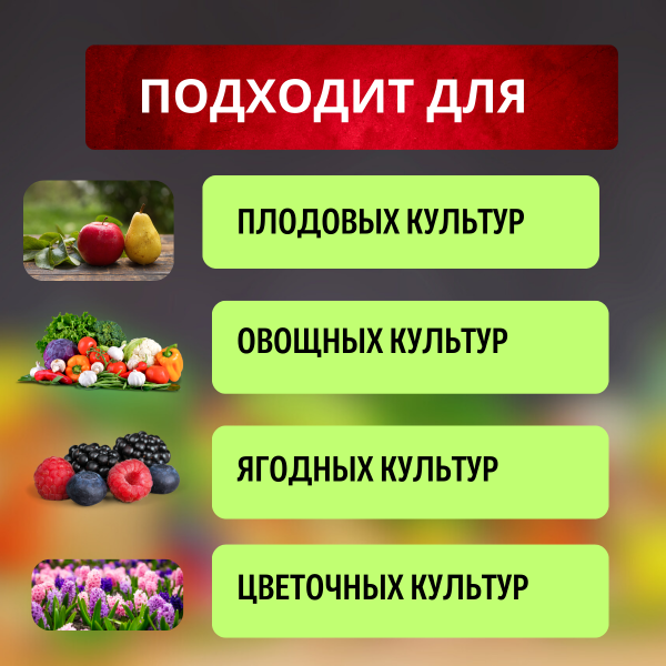 Сульфат марганца 10 г