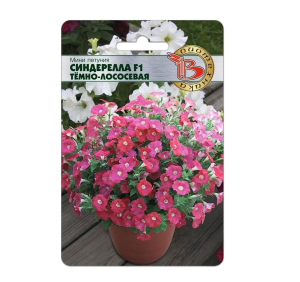 Семена Мини Петуния Синдерелла Темно-Лососевая F1 АГ Биотехника Семена Мини Петуния Синдерелла Темно-Лососевая F1 АГ Биотехника