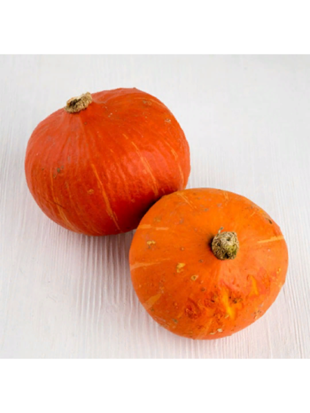 Семена Тыква Учики Кури 10 шт Партнер