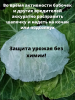 Шапочка с УФ для капусты 20 шт