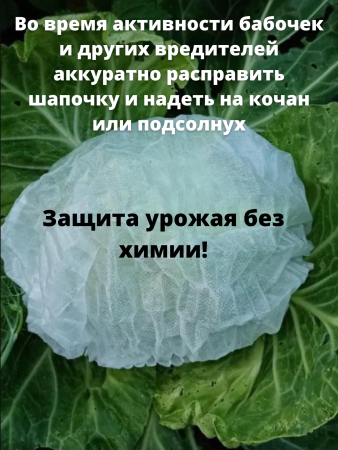 Шапочка с УФ для капусты 20 шт