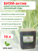 Препарат БиЭМ актив 10 л