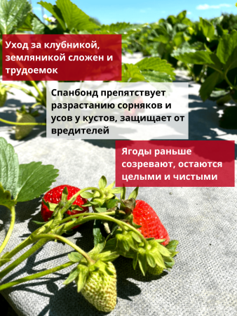 Укрывной материал Грядка в порядке для клубники и овощей с УФ стабилизатором бело-чёрный мульчирующий 80 г/м2, 1,6 х 5 м Благодатное Земледелие