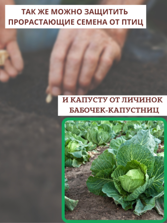 Сетка от птиц 2х10 м 8х8 мм