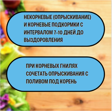 Экофус 500 мл