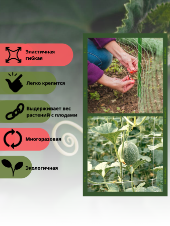 Сетка шпалерная для вьющихся растений 2х10 м ячейки 15х17 см, 2 шт