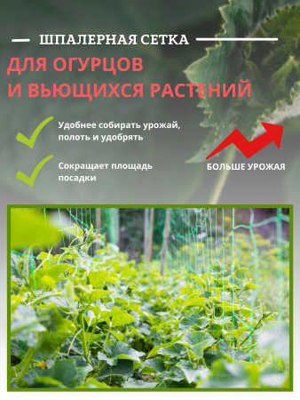 Сетка шпалерная для вьющихся растений 2х10 м ячейки 15х17 см, 2 шт