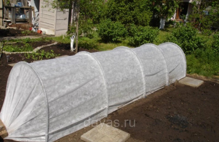 Парник Боровик 4 м