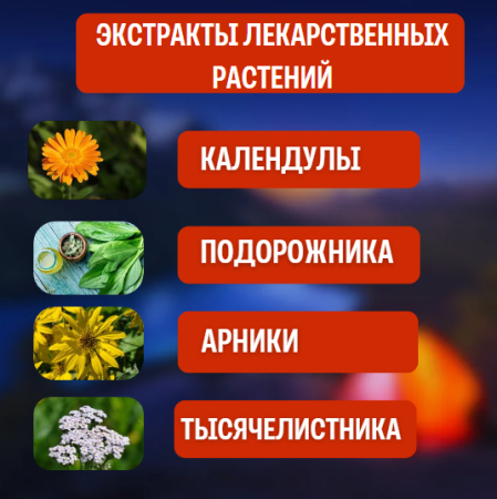 Мазь Походная заживляющая 40 г, 3 шт