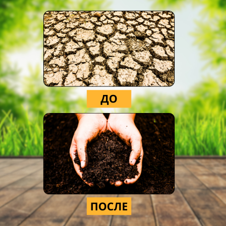 Почвоулучшитель Reasil для восстановления плодородия почв 3 кг