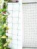 Сетка садовая шпалерная для вьющихся растений размером 2х3 м с ячейками 17х17 см