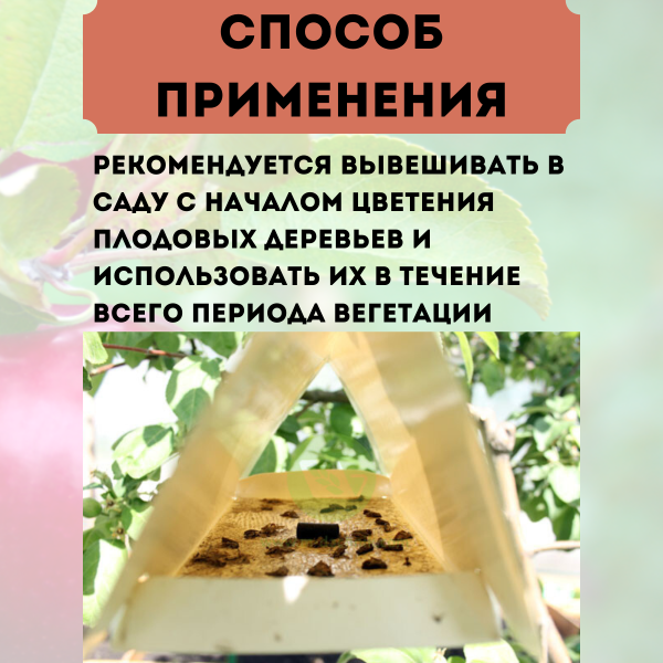 Насекомые-вредители