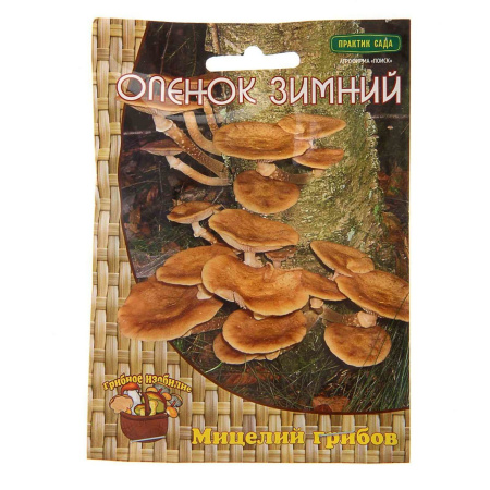 Мицелий грибов Опёнок зимний на деревянных палочках 12 шт