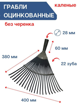 Грабли веерные пластинчатые металлические без черенка Репка
