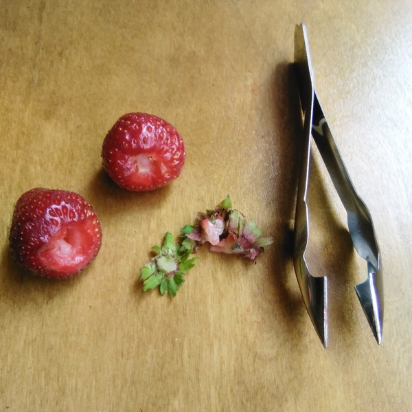 Щипцы LISTOK для удаления плодоножки у ягод