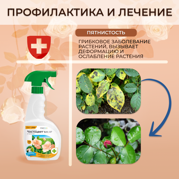 Спрей Чистоцвет БАУ от серой гнили, пятнистости, мучнистой росы 700 мл
