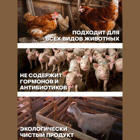 Универсальные бактерии для переработки навоза и помёта Biolatic Universal 100 г