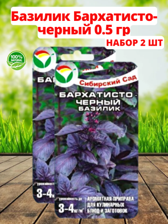 Семена Базилик Бархатисто-черный 0.5 гр Сибирский сад, 2 шт