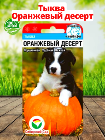 Семена Тыква Оранжевый десерт 5 шт Сибирский сад