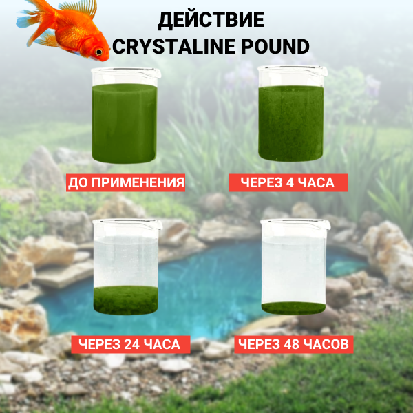 Средство для очистки воды в пруду от мути и загрязнений Crystaline Pond концентрат 1 л