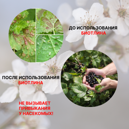 Биотлин 3 мл