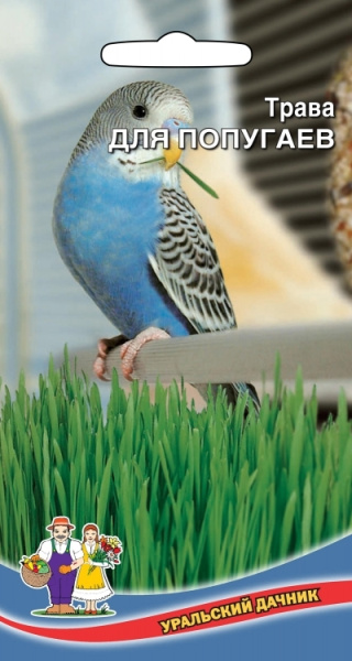 Семена Трава Для Попугаев Уральский Дачник