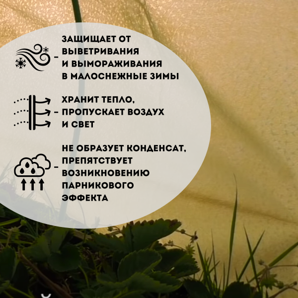 Укрывной материал с УФ Спанграм хвойный зима 100 г/м2, 2,4 х 12 м (Товары, которые скоро пропадут из магазина)